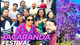 2023 Jacaranda Festival/ Grafton/NSW/ Australia/ Eng Subtitles