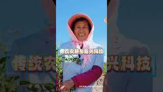 有人说 宁夏的孩子生来就是为了离开宁夏的，是这样吗？对于宁夏曾想远走，而如今，我逢人就说宁夏好！#宁夏#神奇宁夏等你来拍#吸睛宁夏等上分#我的家乡