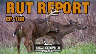 The Rut Report: What the Deer Are Telling You