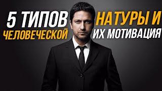 5 ТИПОВ ЧЕЛОВЕЧЕСКОЙ НАТУРЫ И ИХ МОТИВАЦИЯ / УДИВИТЕЛЬНО / ПОЛЕЗНЫЕ СОВЕТЫ