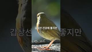 김 먹을 때 절대 같이 먹지 마세요! 이유가 충격적입니다”#건강정보 #김주의사항 #음식궁합 #시금치주의 #건강상식 #영양정보 #건강