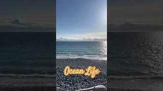 This is ocean living  weekend looks like! #vancouverisland #bcrealestate  #ocean