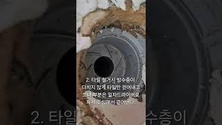 유강 청구 아파트 바닥 타일 작업