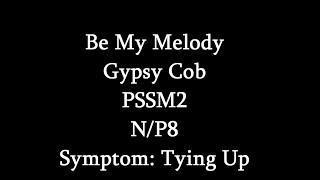 Symptoms Of MIM (PSSM2)- Tying Up (Be My Melody)