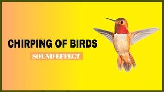 Chirping of Birds Sound Effects