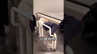 프랑스 예술가의 저항
