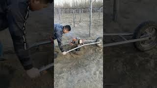Very good for stone-free soils #worldfarming #farmer #agriculture #agriculture  #machinerychannel