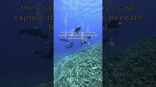 Discover the Only Coral Reef in the Continental U.S.!