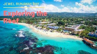 Jewel Runaway Bay in Jamaica - Snorkeling in the Reef