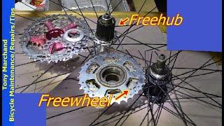 Freewheels vs Freehub: Freewheel noise - clicking, clunking, overhaul