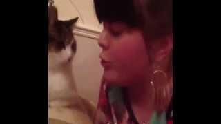 CAT SLAP