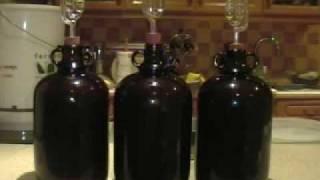 How to Make Wine from Grapes at Home