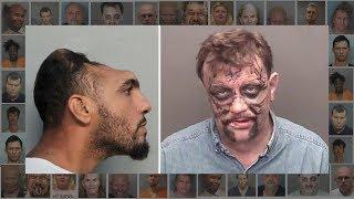 10 Crazy But True Adventures of Florida Man  |  America Uncovered