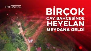 Rize'deki çay bahçelerinde heyelan etkisi