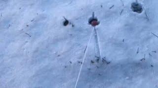 Ping pong paddle stuck in the ground! AllTheBestVideos ChristmasWeek day 3