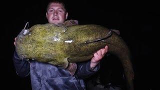 MONSTER Flathead Catfish: Minnesota River, Minnesota - Northwoods Angling