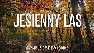 Jesienny spacer z Olympusem + testy Heliosa 44m4 na Micro 4/3 | #fotografia