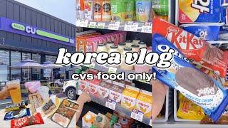 korea vlog  convenience store food on summer picnic  lunch boxes, ice cream & more ️