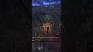 This Boss Has The Funniest Crash Out #eldenringnightreign #eldenring #fromsoftware #soulsborne