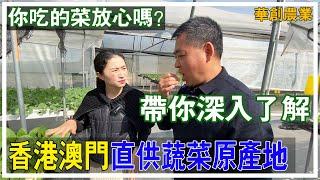 【大灣區生活】香港澳門直供蔬菜原產地 你吃的菜放心嗎？| Mandy帶你深入了解直供香港澳門的蔬菜原產地 | 華創農業