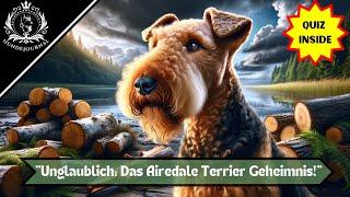 "Airedale Terrier: Discover the breed - with an exciting quiz! Are you an Airedale expert?"