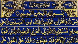 Surah Yaseen Surah Rahman || Most Qur'an Recitation || Surah Yasin full || Beautiful Qur'an Tilawat