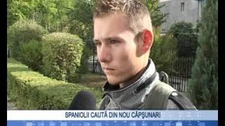 Spaniolii cauta din nou capsunari - Tele3Media