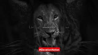 ElevationNation