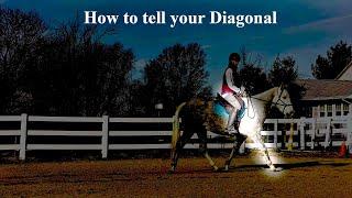 How To Tell Your Diagonal at the Rising Trot