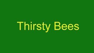 Thirsty Bees