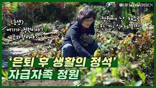 [정원의 발견] 나의 작은 숲 A Garden Grove | KBS제주 20210409 방송