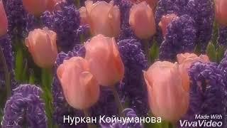 Ыр саптар жан дуйнонун азыгы