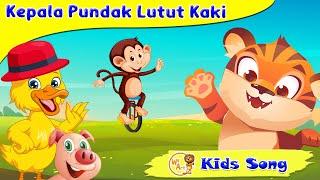 Kepala pundak lutut kaki bebek berenang dan kucing lucu lagu anak anak indonesia  / WE ART KIDS SONG