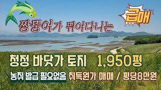 [목포토지사랑 222] 짱뚱어가 뛰어 노는 청정갯벌 바다 영구조망 /개간된 임야 / 보전관리 1950평 / 평당8만원 / 농막용 토지