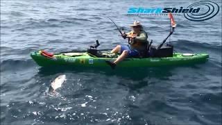 Jim Sammons - True Test of Shark Shield - The Kayak Fishing Show