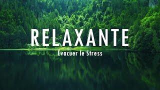 Musique relaxante pour l'isolement et la tranquillité d'esprit, arrêtez l'anxiété• Évacuer le Stress