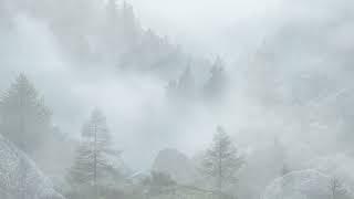 Hermann Hesse: Im Nebel