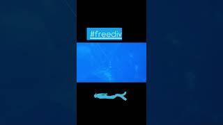 #freedivinglife  #diving #underwater #underwaterphotography #freedive #ocean #youtubeshorts#love