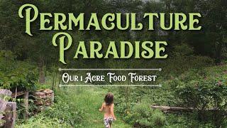 1 Acre Food Forest Tour  ORGANIC Summer Harvest ️ + Plentiful Fruit Trees!