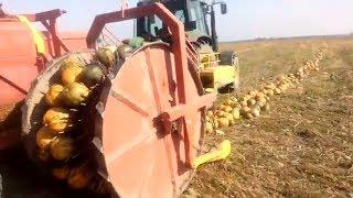 Harvesters for harvesting of pumpkin seeds ! Tegoroczny harvester ke3000moty