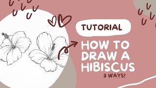 HOW TO: Learn to draw HIBISCUS flower 3 ways tutorial