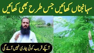 Moringa Ke Fayde ||@ATC Organic