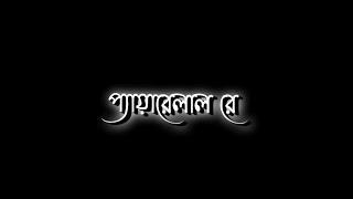 Pyarelal (প্যারেলাল) | Dui Prithibi |️Bengali Black Screen Statuslyrics status video #status