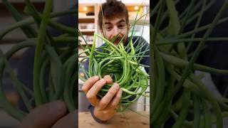 Garlic Scapes