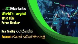 IC Market Account එක Mobile Phone එකෙන් හරියටම හදමු | එකතුවෙලා ගොඩයන්න Set වෙන්න Brothers | CJ