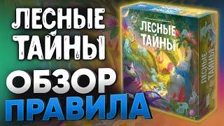 Лесные тайны: обзор и правила семейной настольной игры.