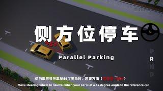 侧方位停车|澳洲停车小知识|Parallel Parking|易达公开课|澳洲路考专家|布里斯班驾校