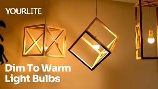 YOURLITE Energy Efficient Dim to Warm Light Bulbs – Smooth Dimming | Warm Glow