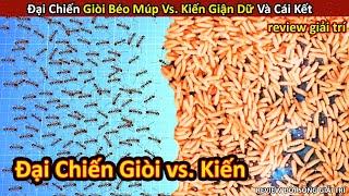 Đại Chiến Khủng Khiếp Giòi vs. Kiến Và Cái Kết Không Thể Ngờ || Review Giải Trí Đời Sống