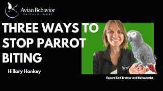 Three Tips to Stop Parrot Biting